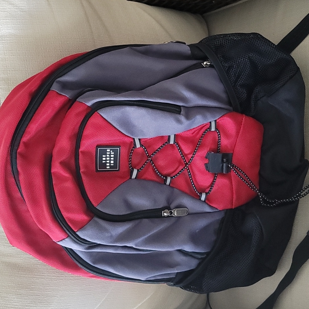 Sharper Image Backpack
